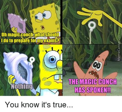 Detail Magic Conch Meme Nomer 45