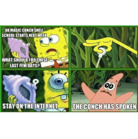 Detail Magic Conch Meme Nomer 47