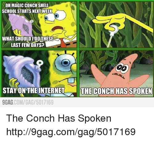 Detail Magic Conch Meme Nomer 50