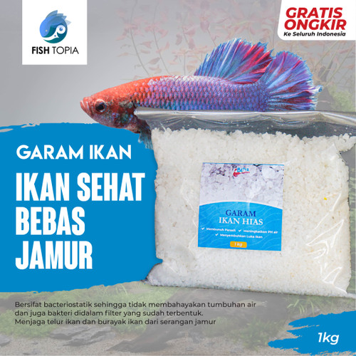 Detail Penyakit Ikan Hiasan Nomer 26