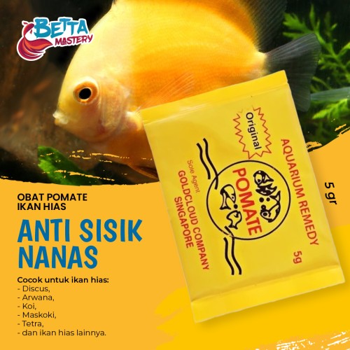 Detail Penyakit Ikan Hiasan Nomer 27