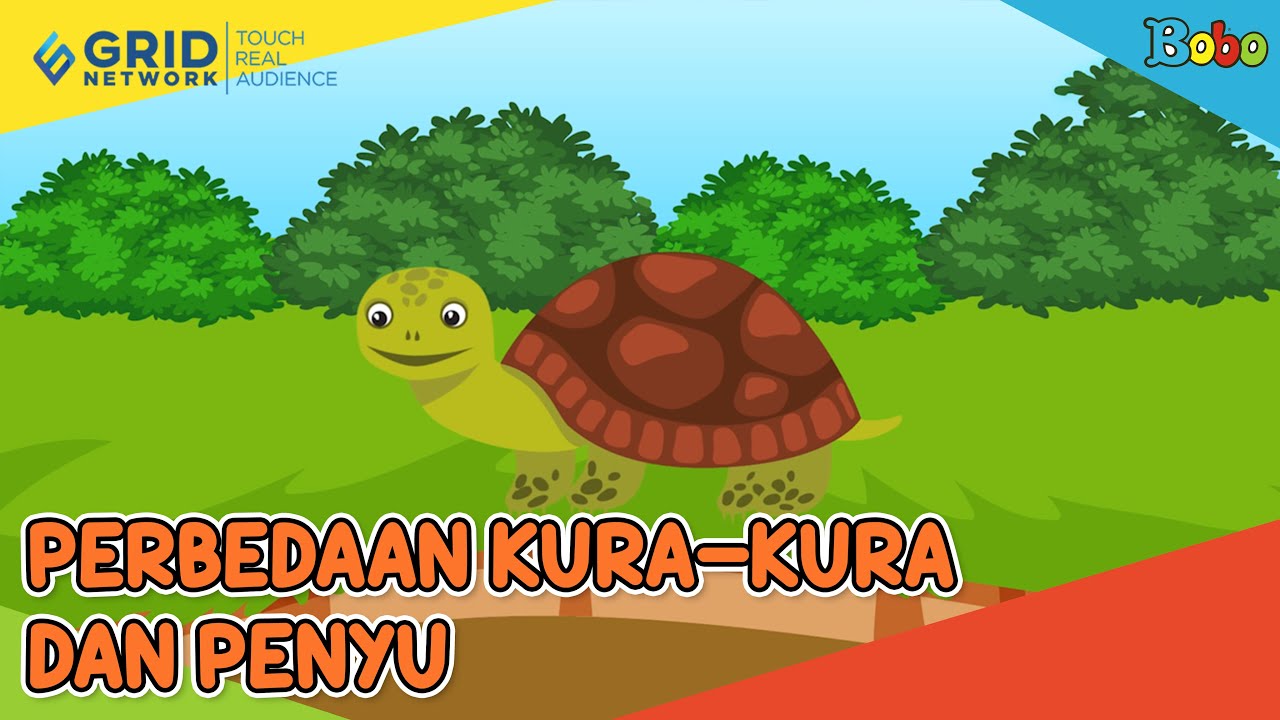 Detail Penyu Dan Kura Kura Nomer 37