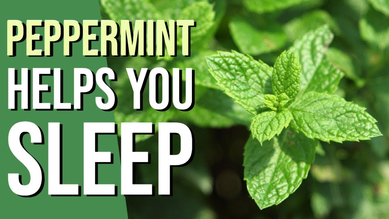 Detail Pepermint Nomer 43