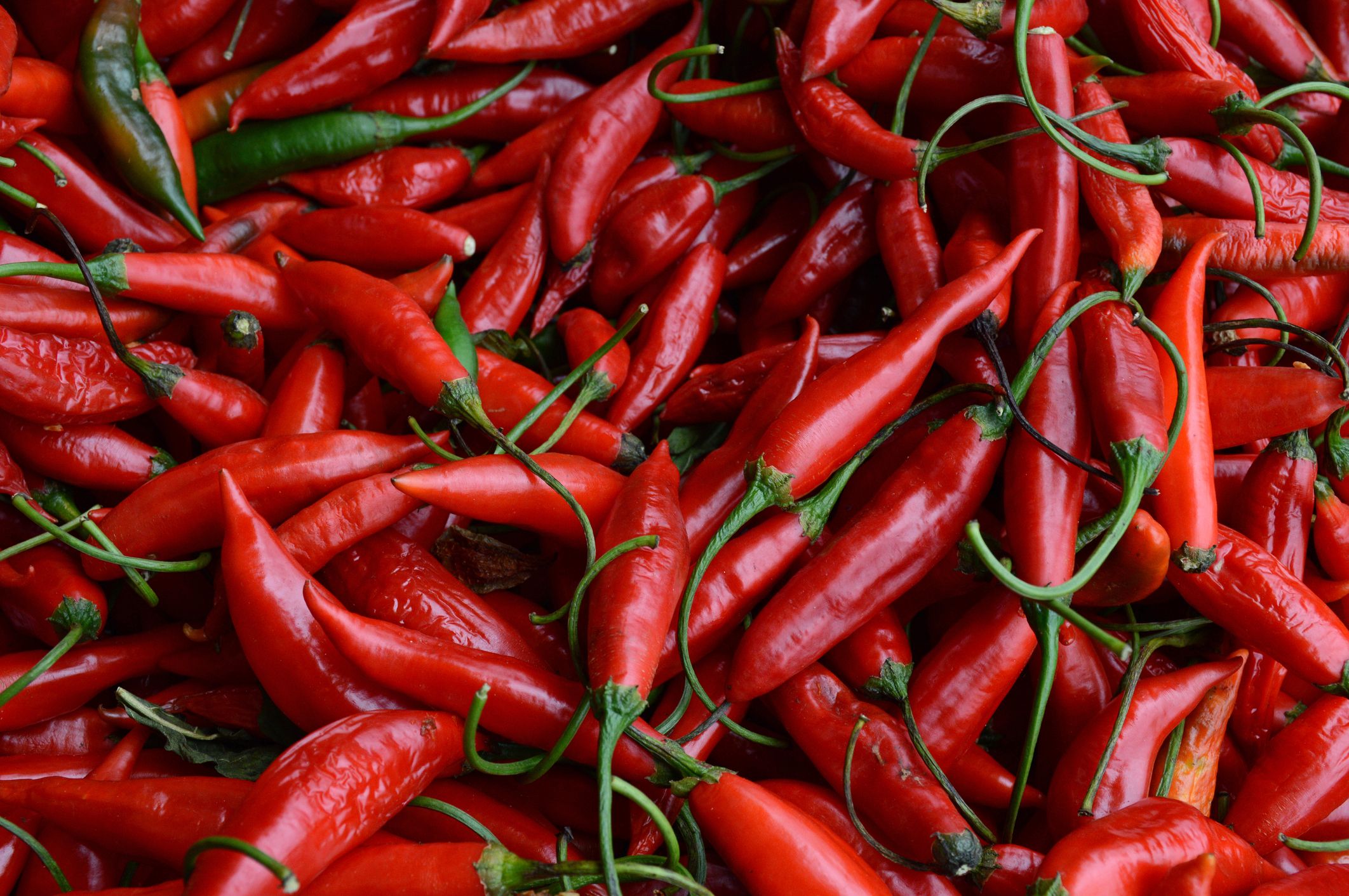 Detail Pepper Image Nomer 17