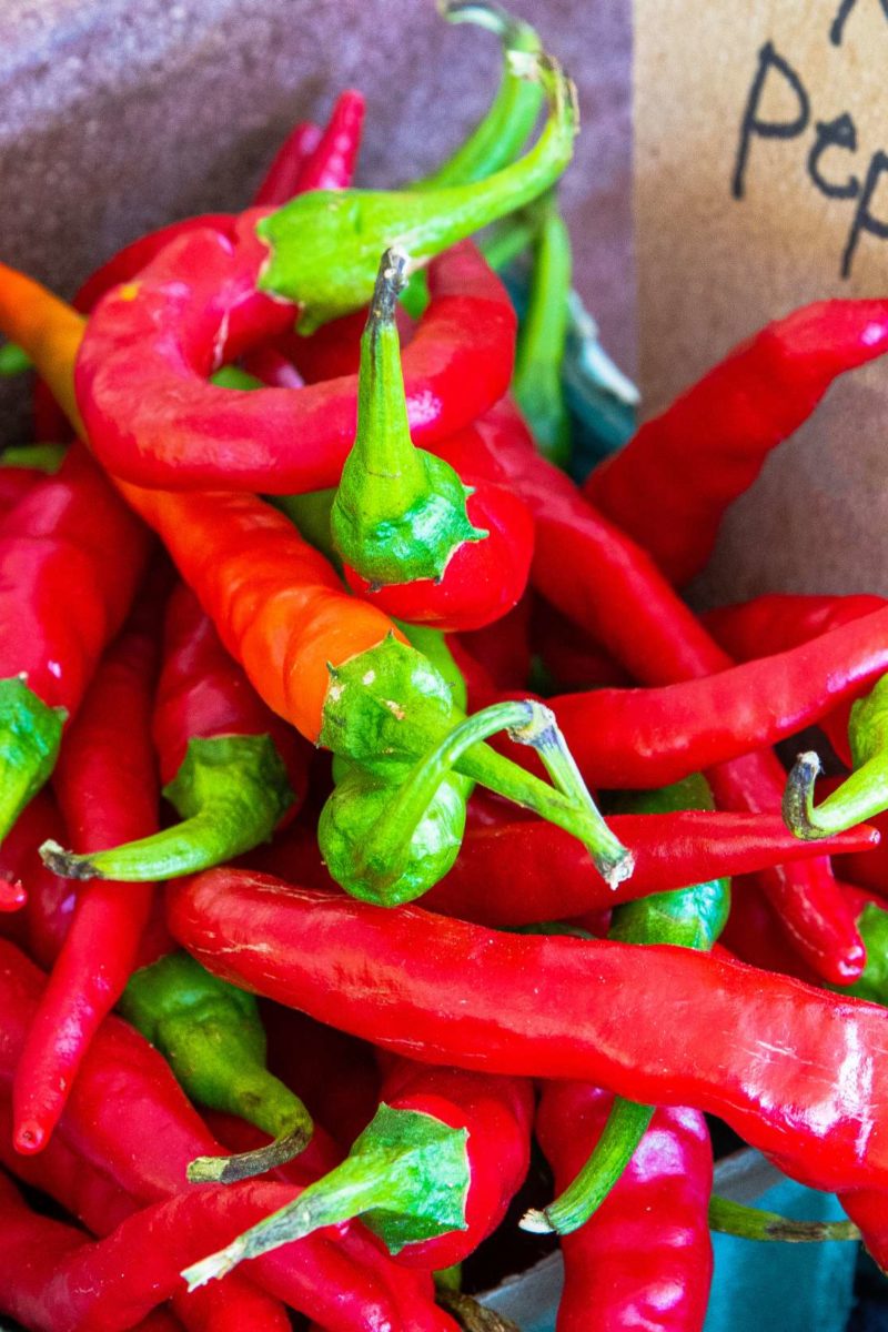 Detail Pepper Image Nomer 24