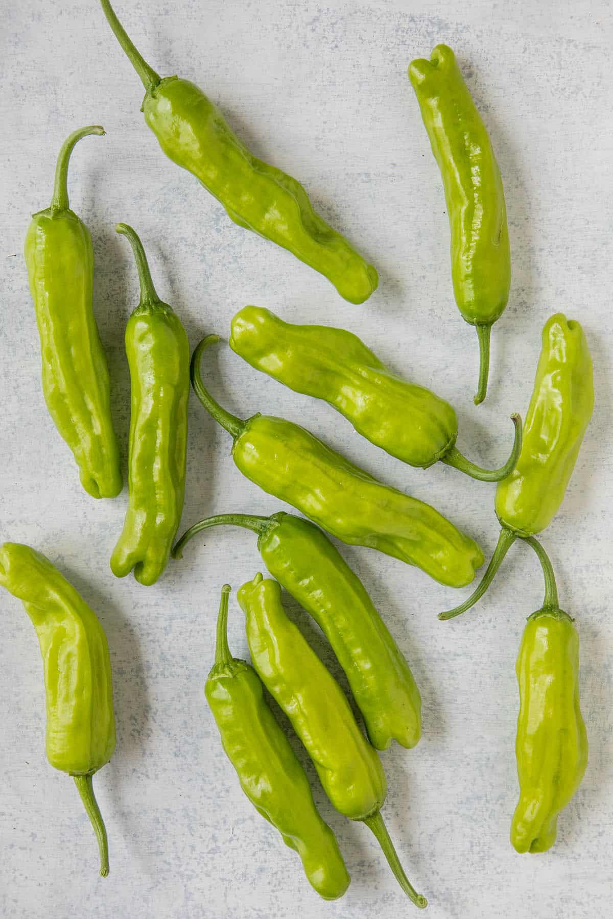 Detail Pepper Image Nomer 41