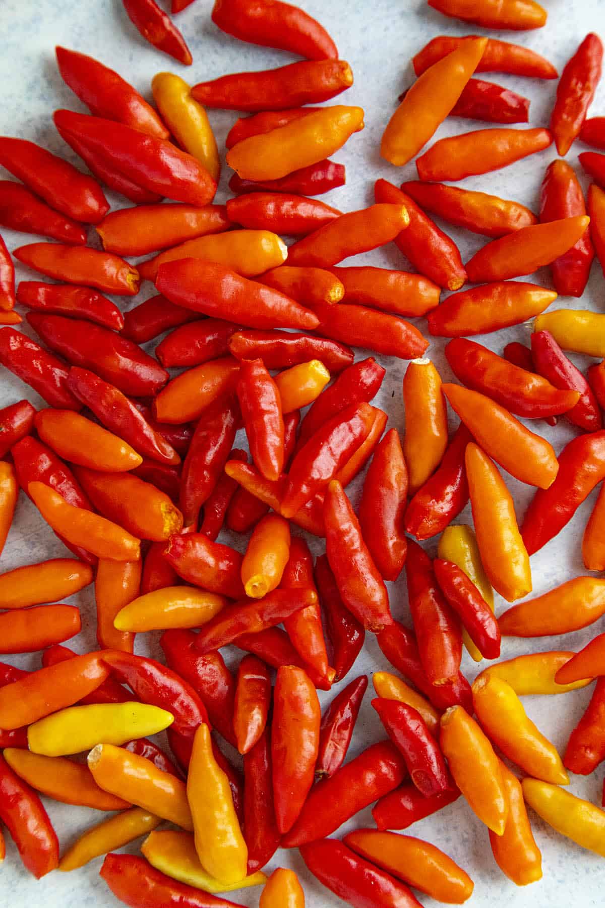 Detail Pepper Image Nomer 48
