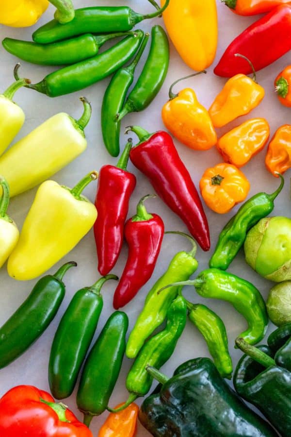 Detail Pepper Image Nomer 6