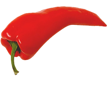 Detail Pepper Png Nomer 21