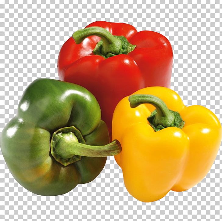 Detail Pepper Png Nomer 40