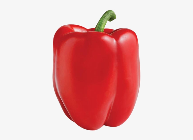 Detail Pepper Transparent Nomer 16