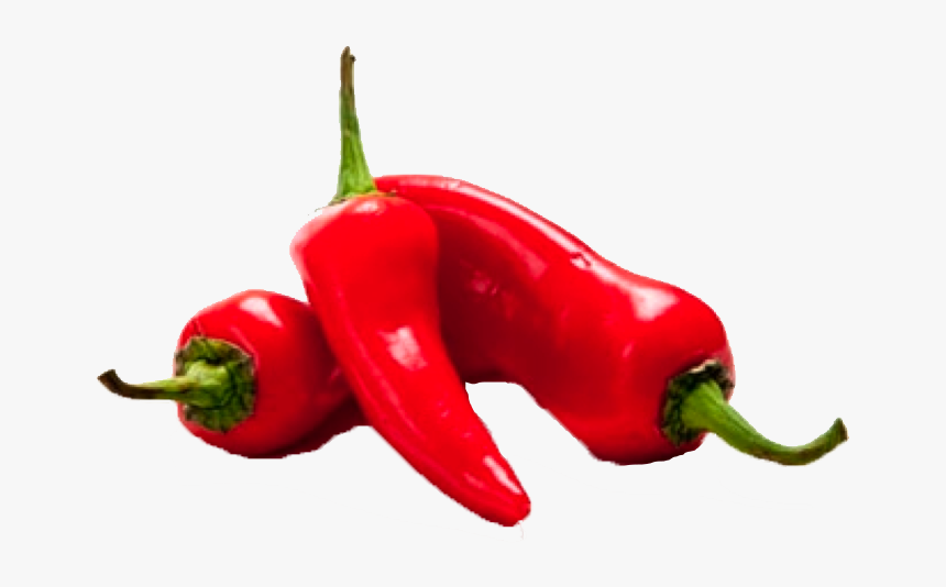 Detail Pepper Transparent Nomer 39