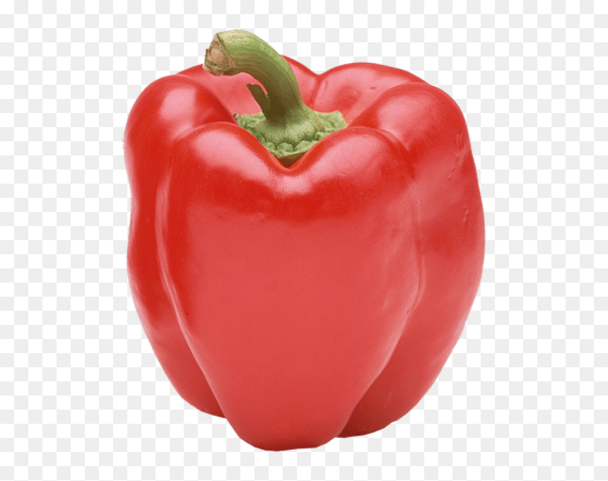 Detail Pepper Transparent Background Nomer 19