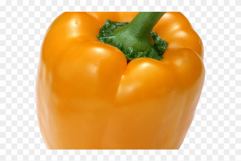 Detail Pepper Transparent Background Nomer 35