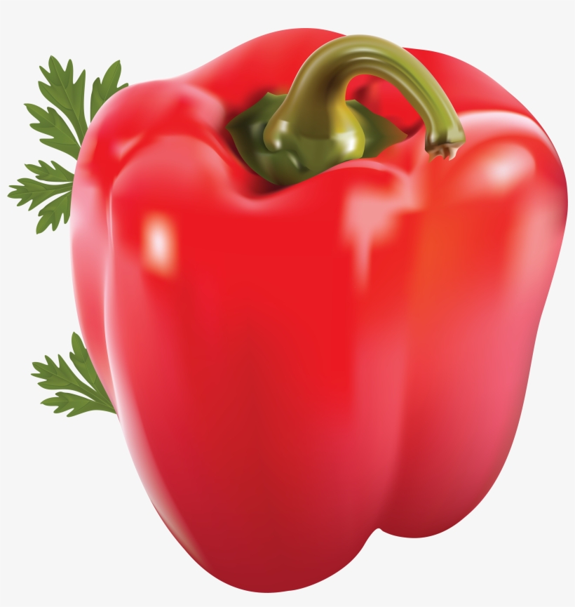 Detail Pepper Transparent Background Nomer 39