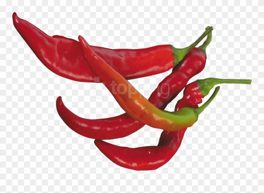 Detail Pepper Transparent Background Nomer 42
