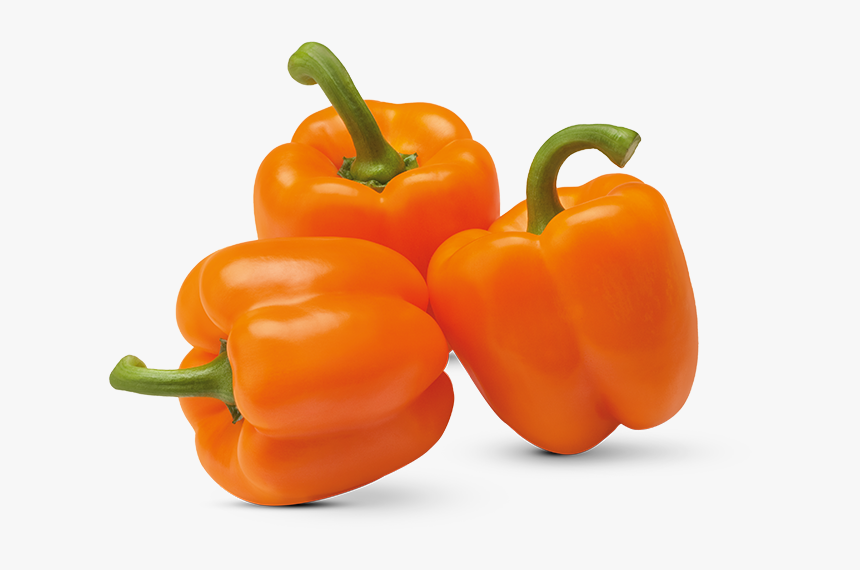 Detail Pepper Transparent Background Nomer 52