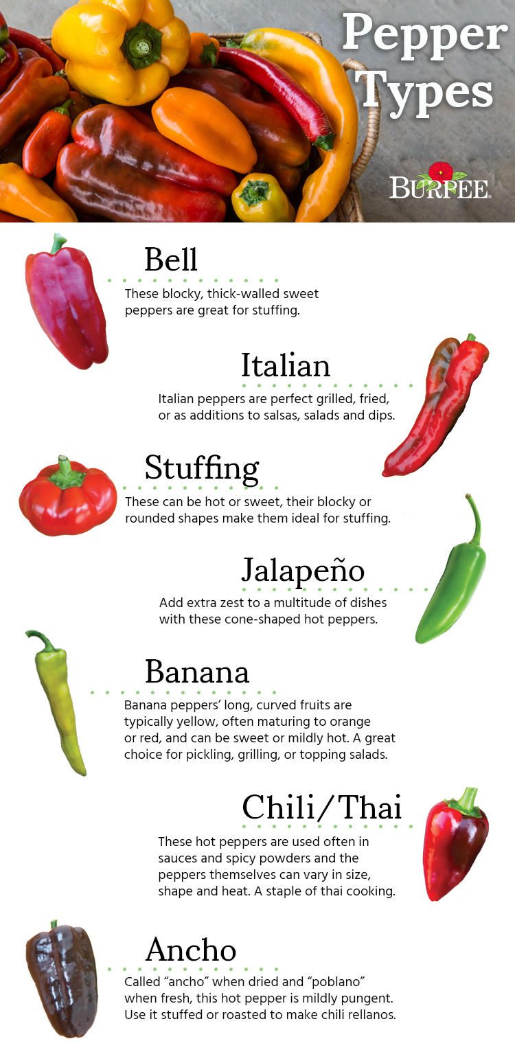 Detail Pepper Varieties Images Nomer 11