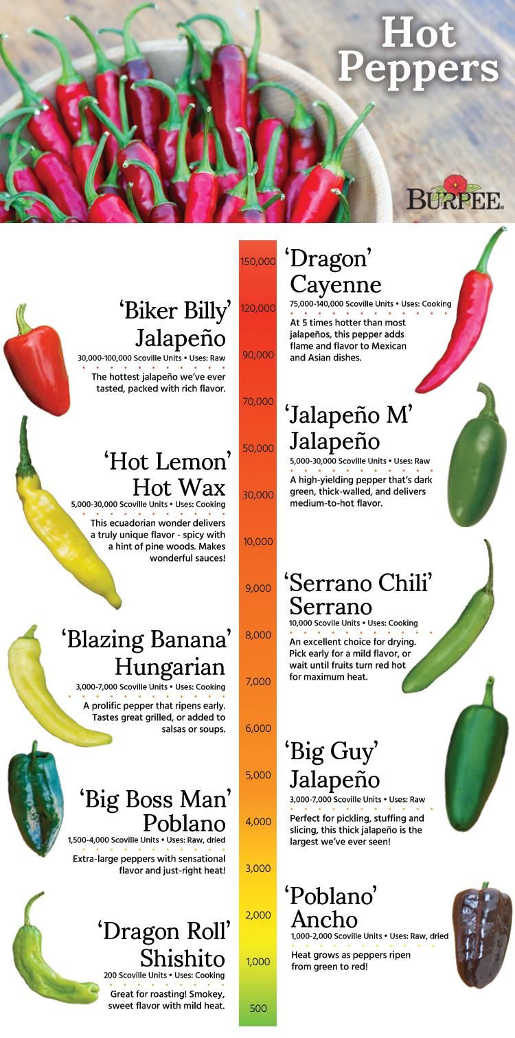 Detail Pepper Varieties Images Nomer 12