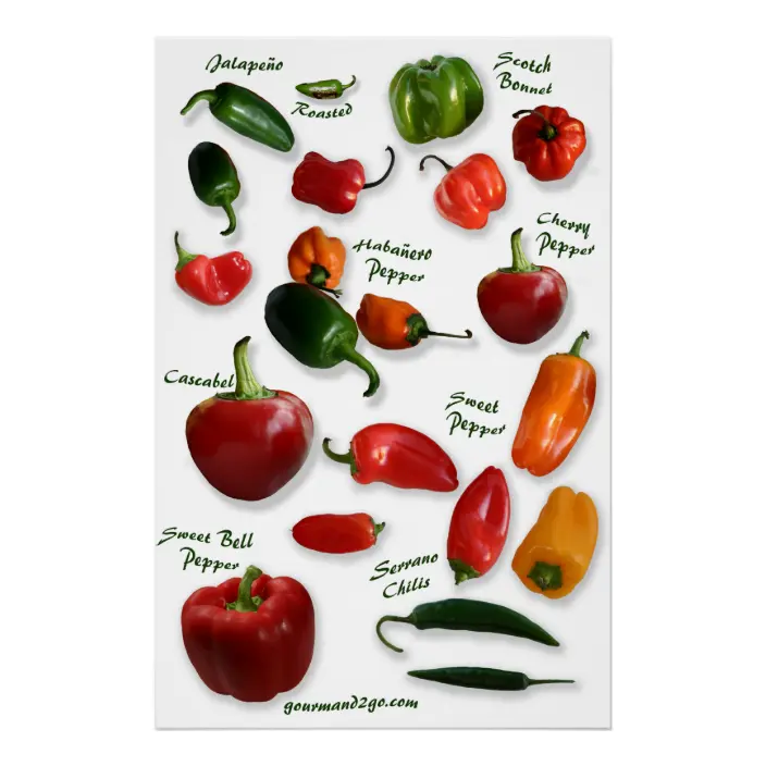 Detail Pepper Varieties Images Nomer 17