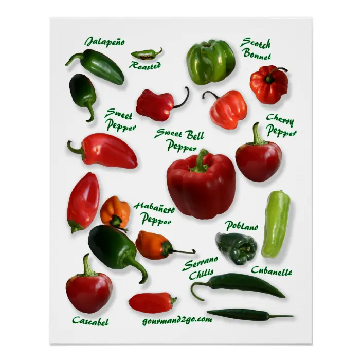 Detail Pepper Varieties Images Nomer 10