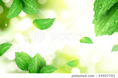 Detail Peppermint Background Nomer 29