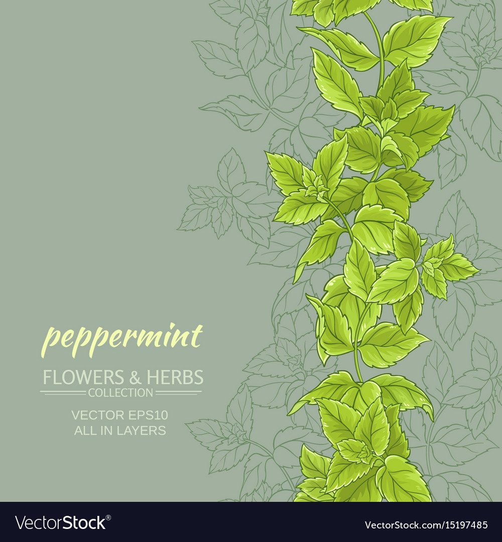 Detail Peppermint Background Nomer 37