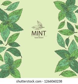 Detail Peppermint Background Nomer 40