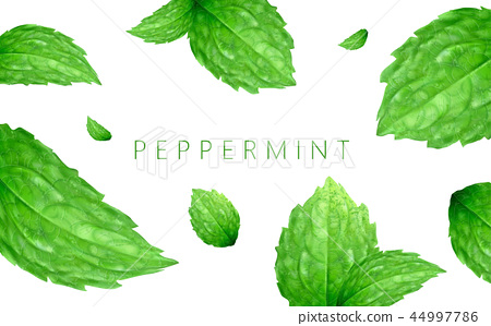 Detail Peppermint Background Nomer 47