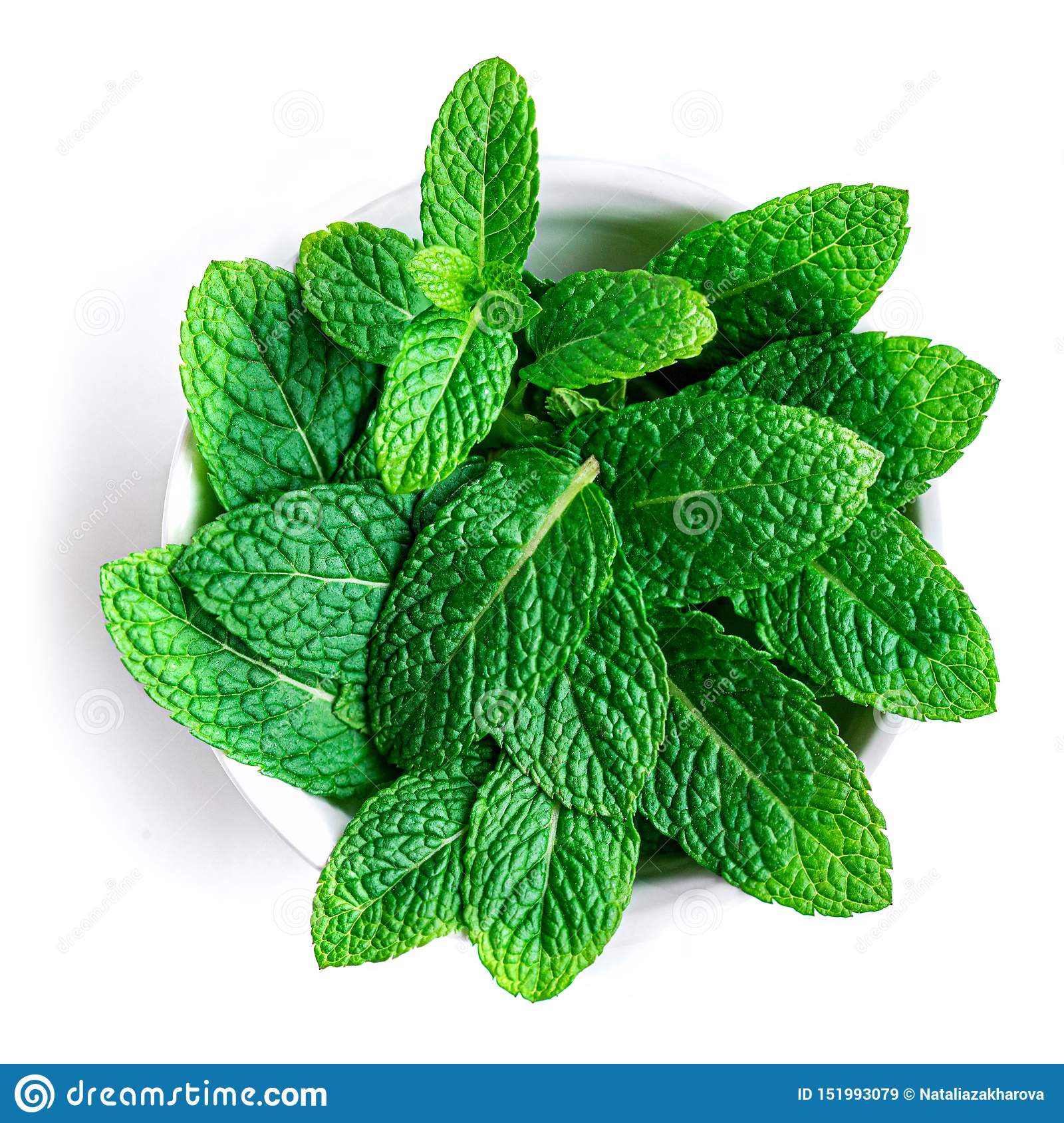 Detail Peppermint Leaves Images Nomer 24