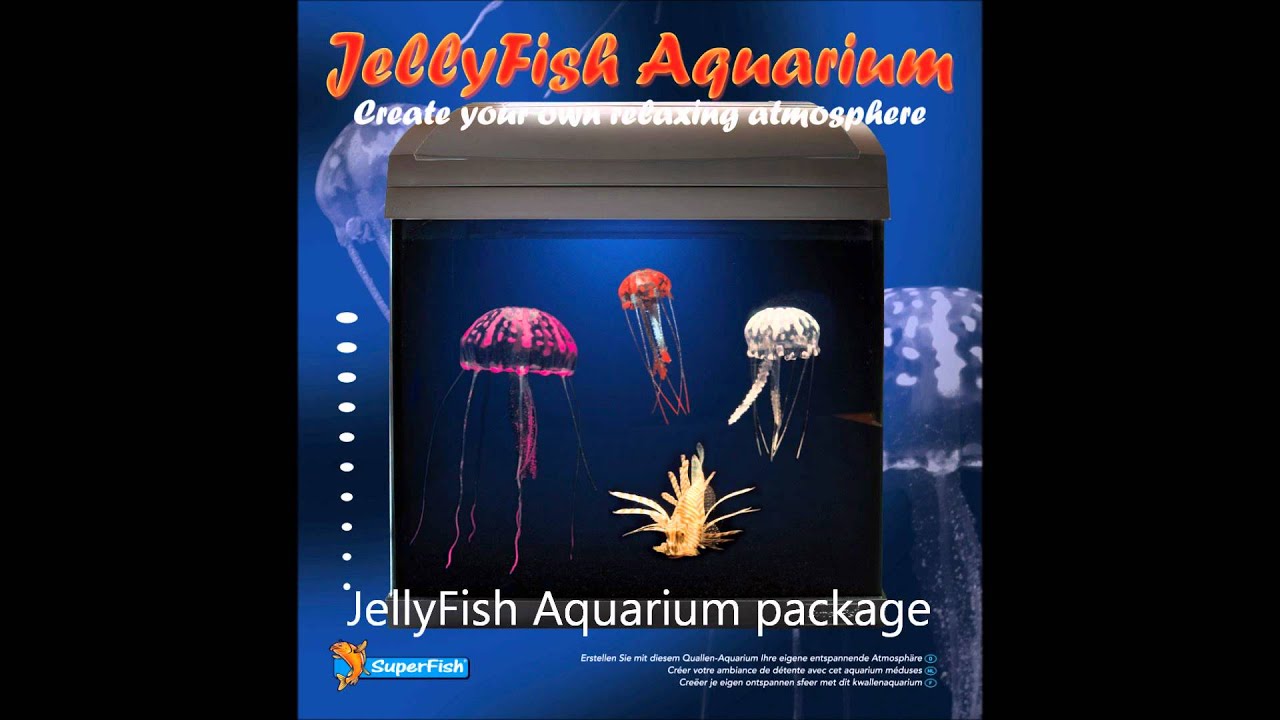 Detail Magic Jellyfish Aquarium Nomer 23