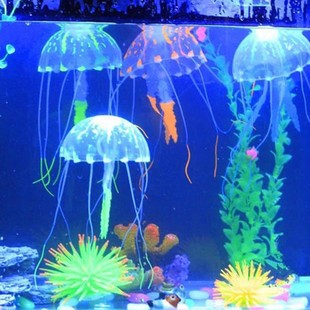 Detail Magic Jellyfish Aquarium Nomer 26