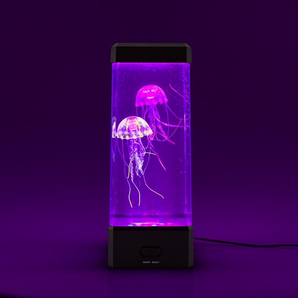 Detail Magic Jellyfish Aquarium Nomer 47