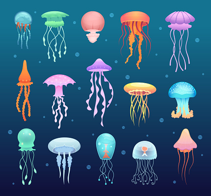 Detail Magic Jellyfish Aquarium Nomer 6