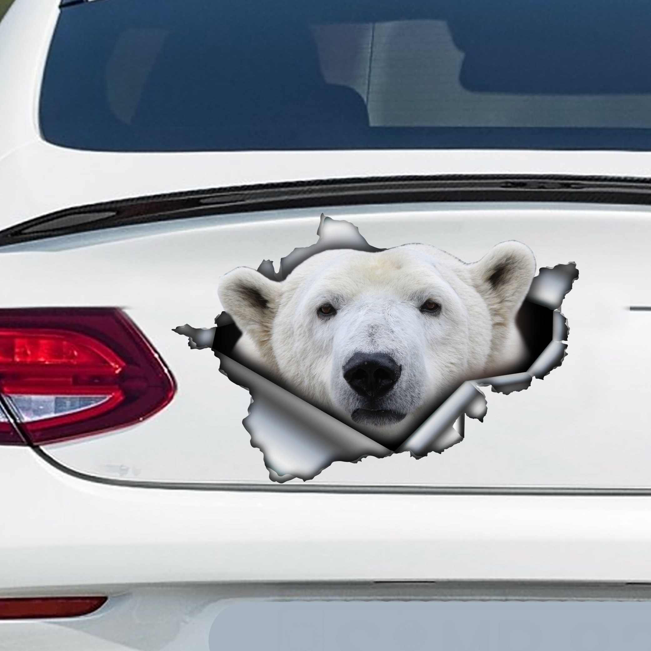 Detail Magnet The Polar Bear Nomer 22