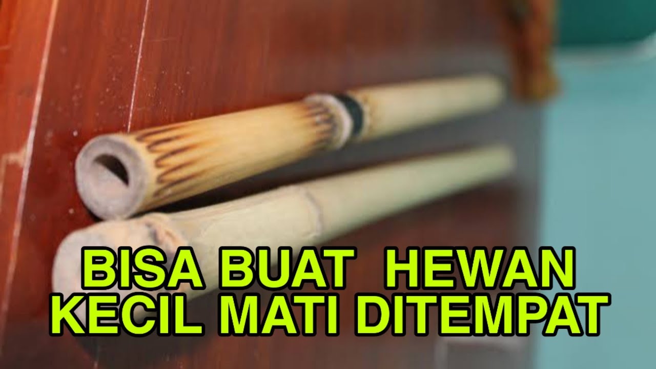 Detail Mainan Bambu Jaman Dulu Nomer 46