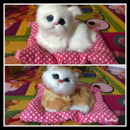 Detail Mainan Boneka Kucing Nomer 41