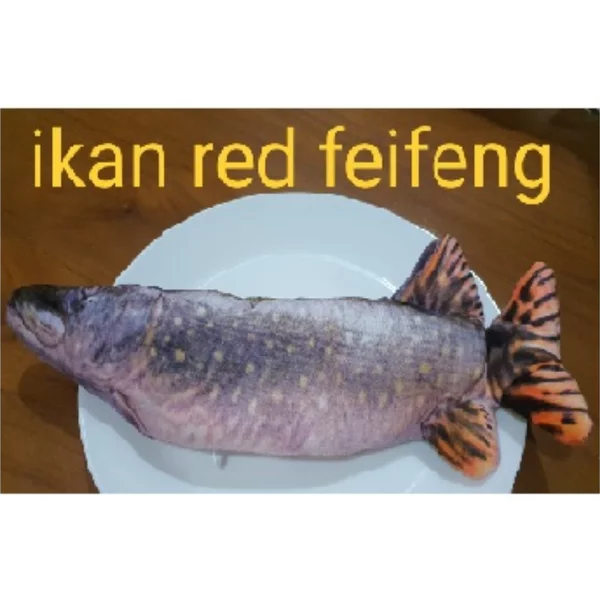 Detail Mainan Ikan Gerak Nomer 50