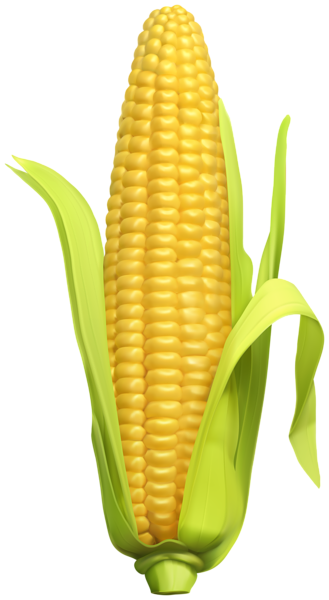 Detail Maize Png Nomer 3