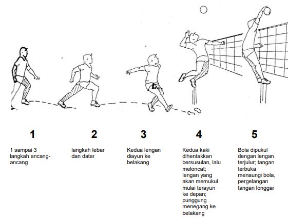 Detail Peralatan Permainan Bola Voli Nomer 12