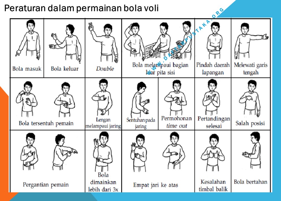 Detail Peralatan Permainan Bola Voli Nomer 8