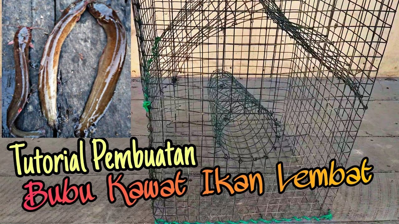 Detail Perangkap Ikan Dari Kawat Nomer 2