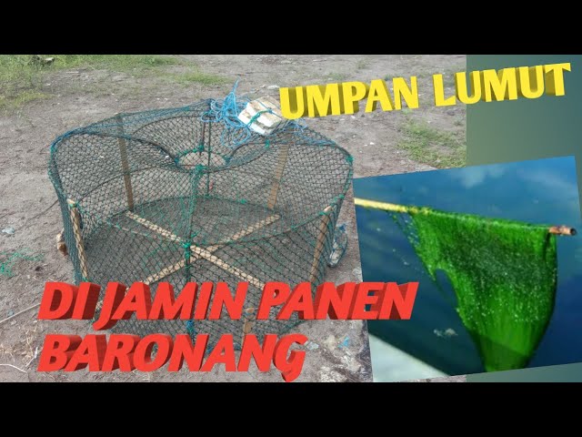 Detail Perangkap Ikan Dari Kawat Nomer 37