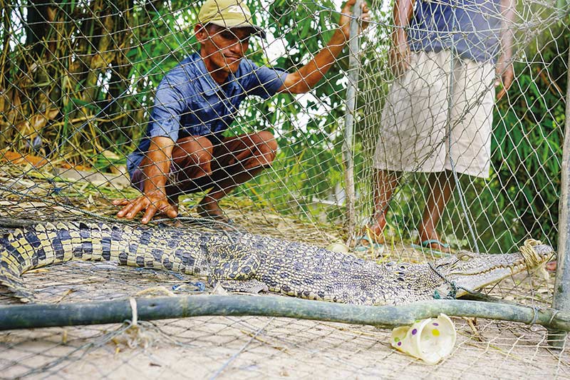 Detail Perangkap Ikan Di Sungai Nomer 43