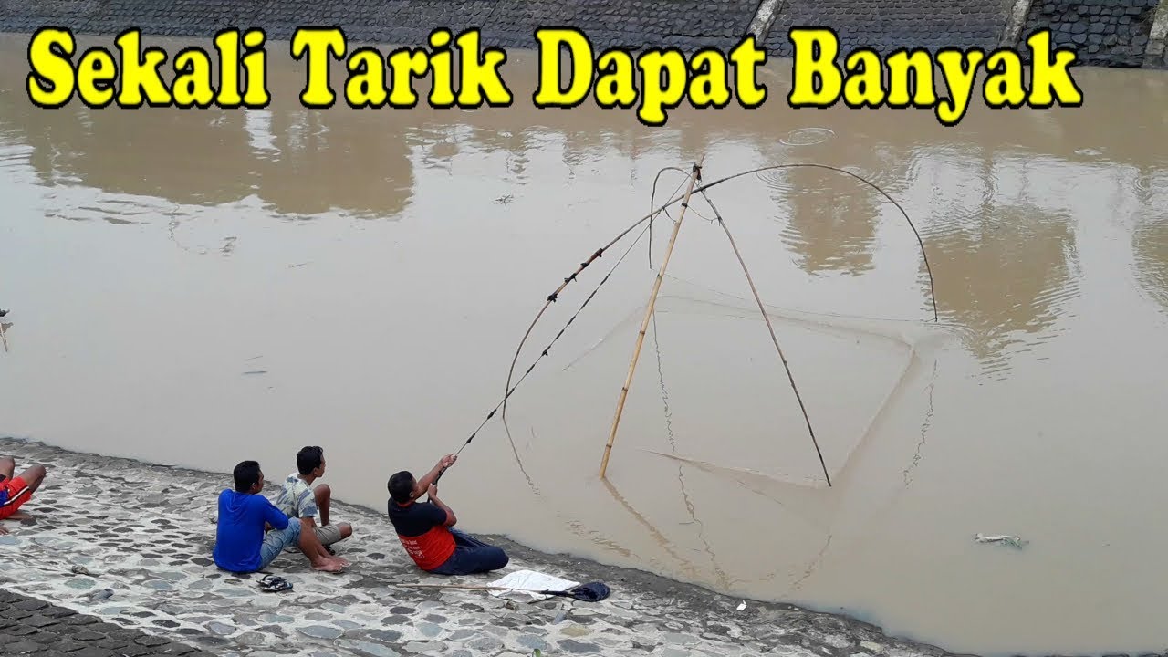 Detail Perangkap Ikan Di Sungai Nomer 48