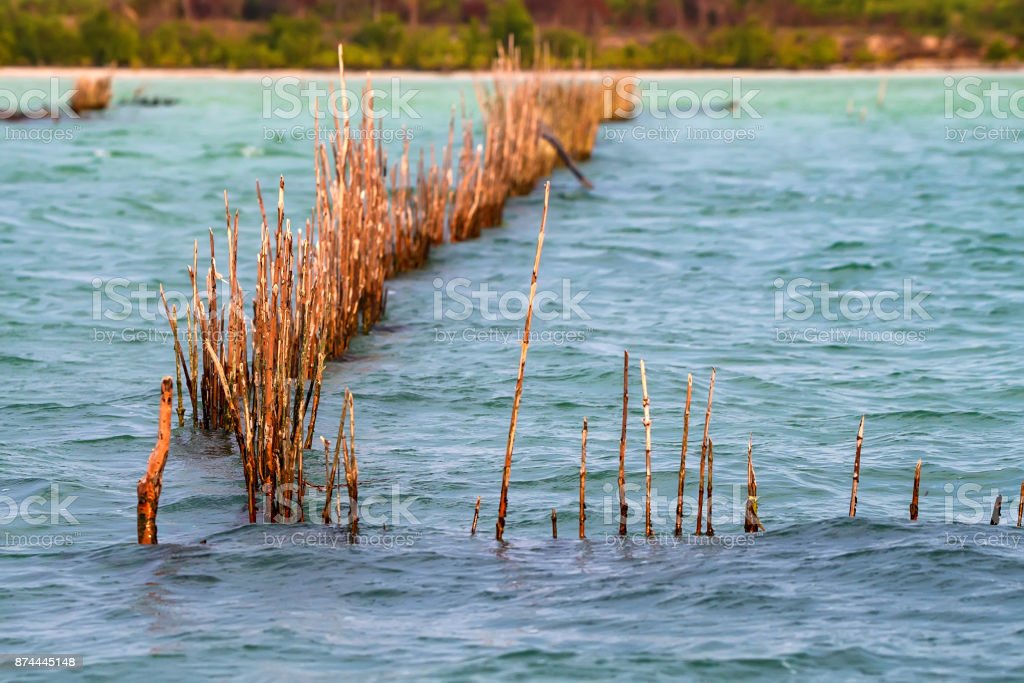 Detail Perangkap Ikan Di Sungai Nomer 10