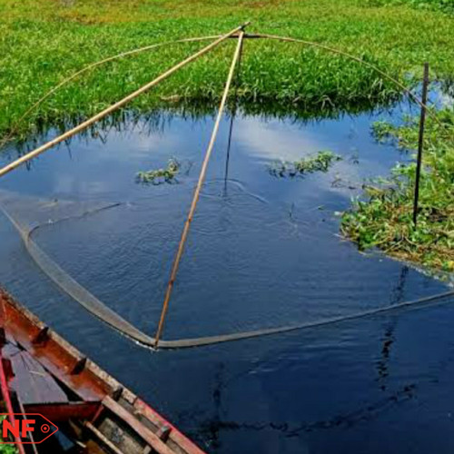 Detail Perangkap Ikan Kecil Di Sungai Nomer 21