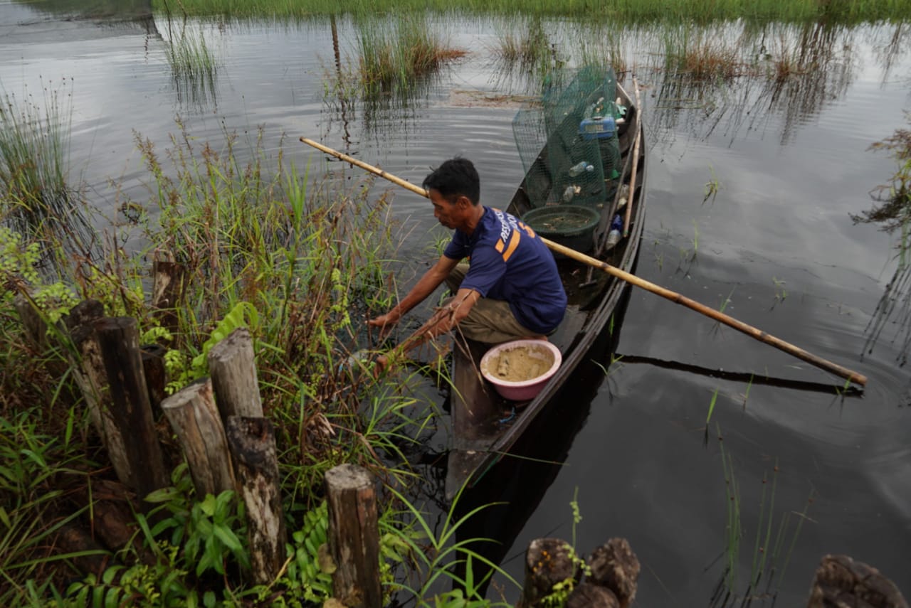 Detail Perangkap Ikan Kecil Di Sungai Nomer 30