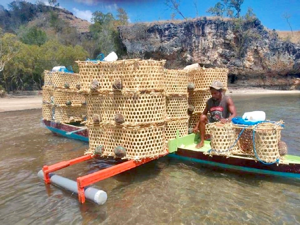 Detail Perangkap Ikan Kecil Di Sungai Nomer 32