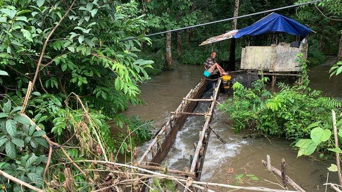 Detail Perangkap Ikan Kecil Di Sungai Nomer 41